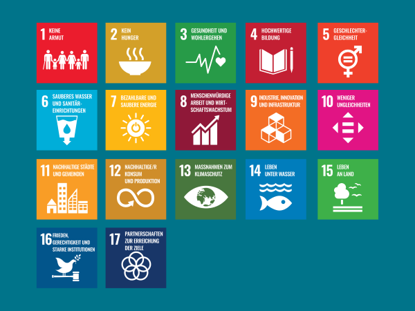 Was sind die: <br>Sustainable Development Goals?